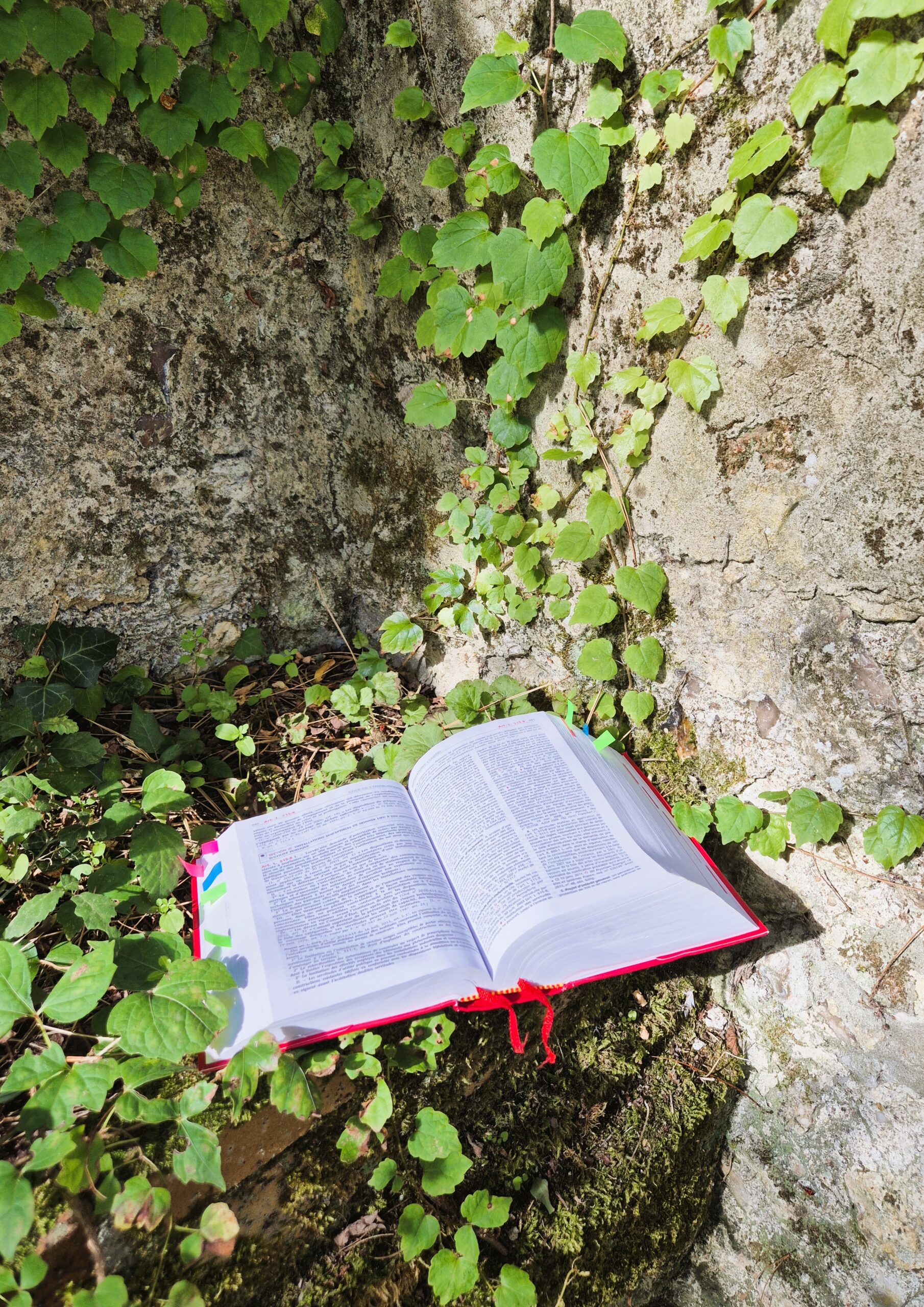 Le Dr Stefanie Lüer possède une vaste expertise juridique en Allemagne et en France.